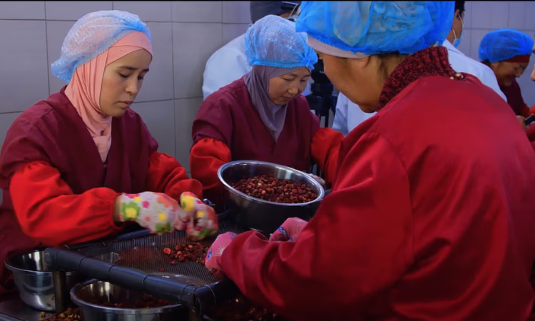 РКФР поддержал внедрение новой технологии по сушке ягод и фруктов