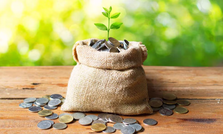 НБ КР намерен улучшить систему контроля рисков гарантийных фондов