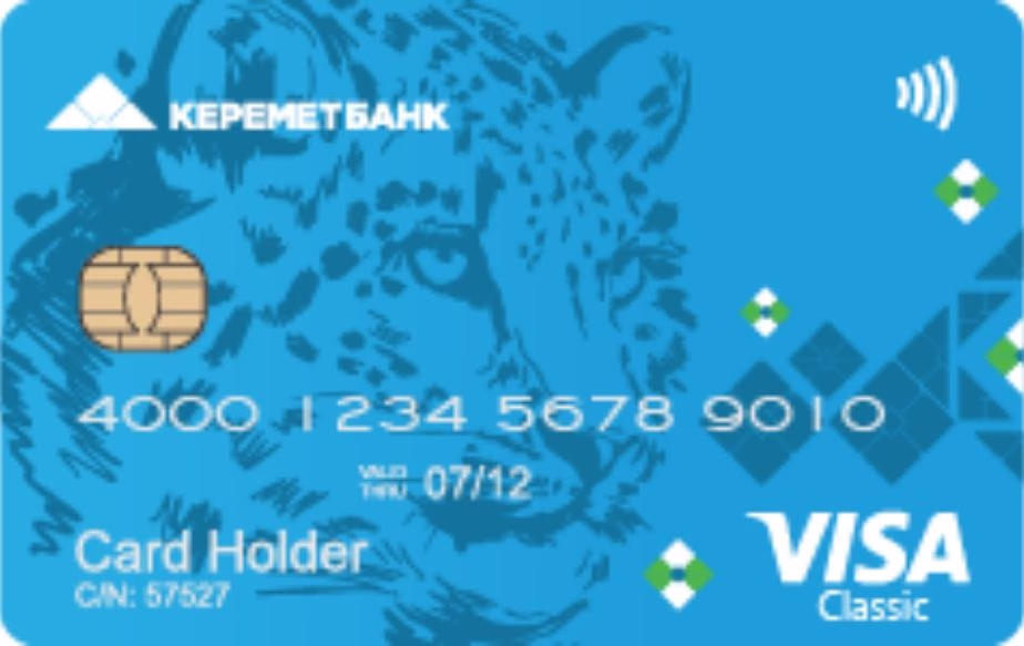 Visa Credit Classic