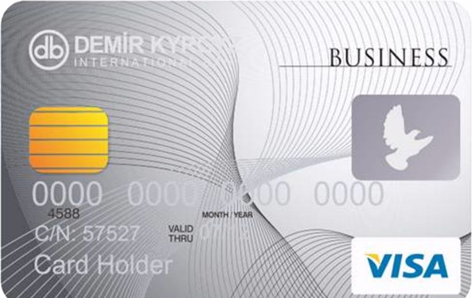 Visa Business