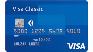 Visa Junior