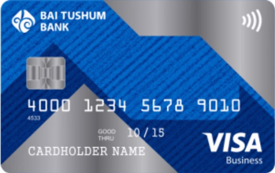 Visa Business