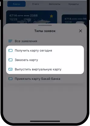 BakAi карта инструкция 3