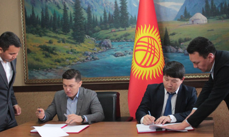 В Кыргызстане намерены создать промзону для мясного халал-парка