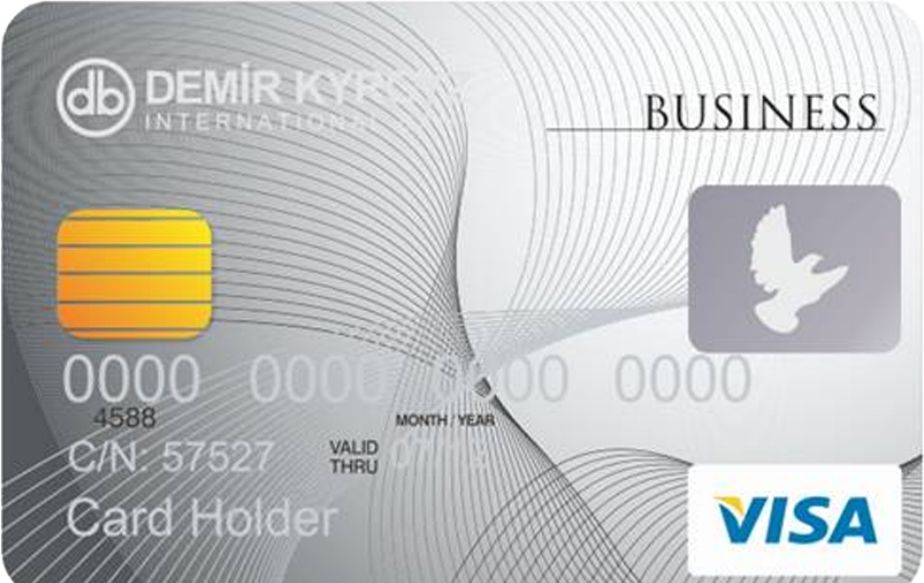 Киргизская карта visa