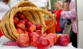 «Банк Компаньон» приглашает на XVI яблочный фестиваль