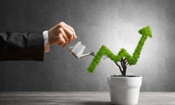 За I полугодие прибыль получили 65% предприятий финсектора, убытки - 16%